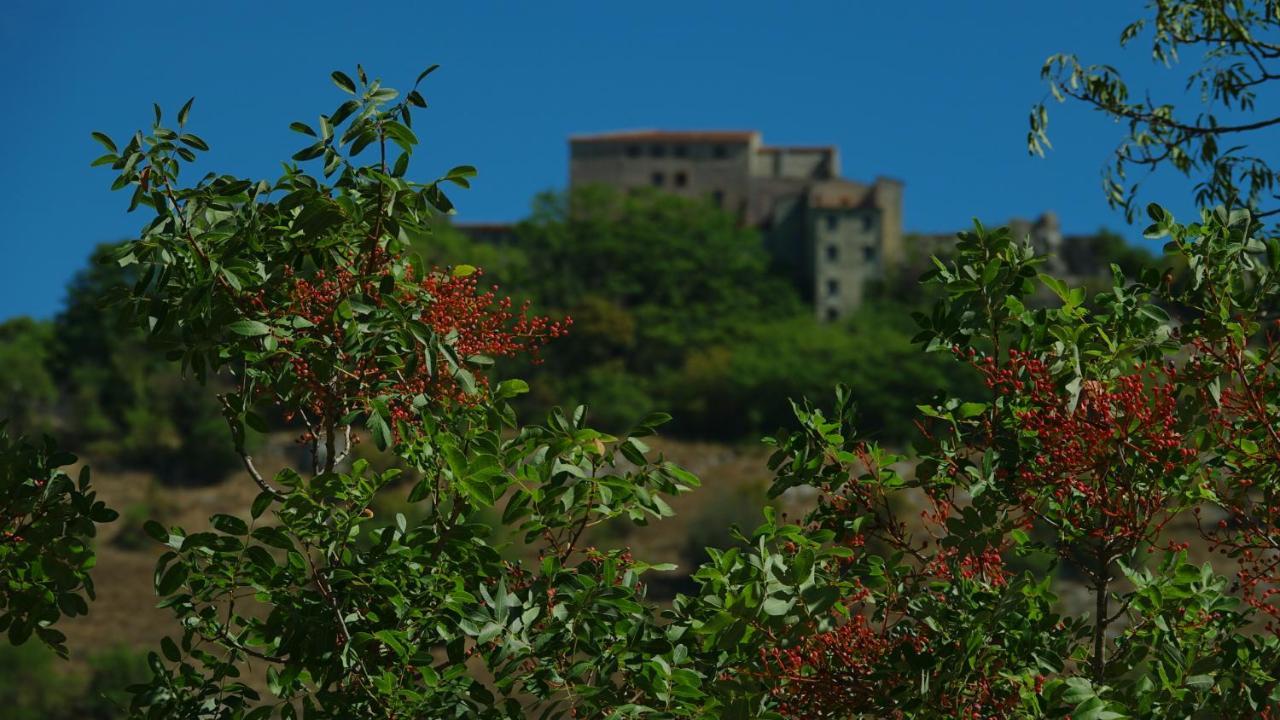 La Terrazza Sul Turano *